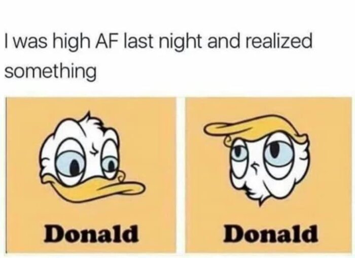   !  ,  , ,   
