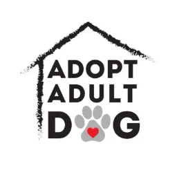 AdoptAdultDog