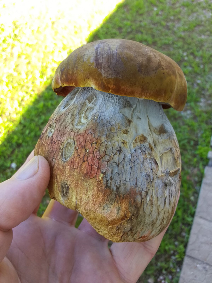     -    ! , ,  , ,  , , 