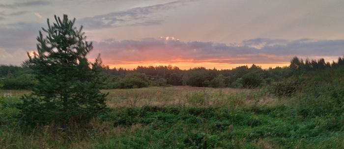 Ну и бонусом. )