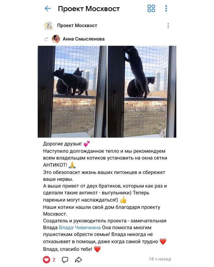 ��, ���� ���� �� ���������, ������ ����