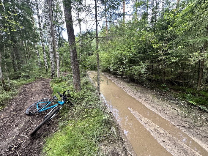 ����� �� ������ �������� ������������� � ����������