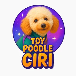 Ciri.ToyPoodle