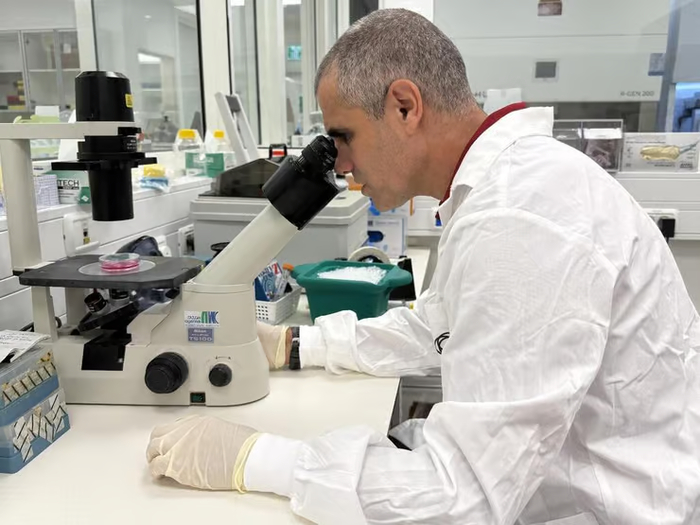     .   .      : (Matrisself)