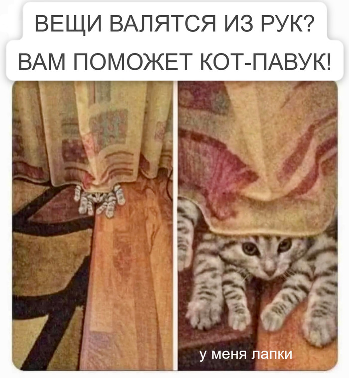        ,      , , , ,   