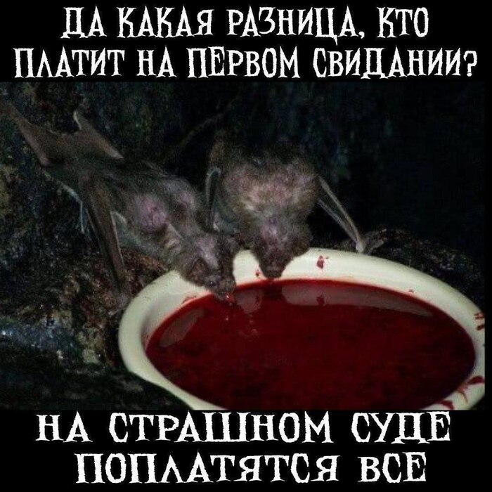 Объясните мне про тарелочниц