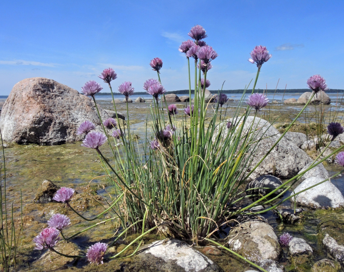 Фото Л. Головневой.