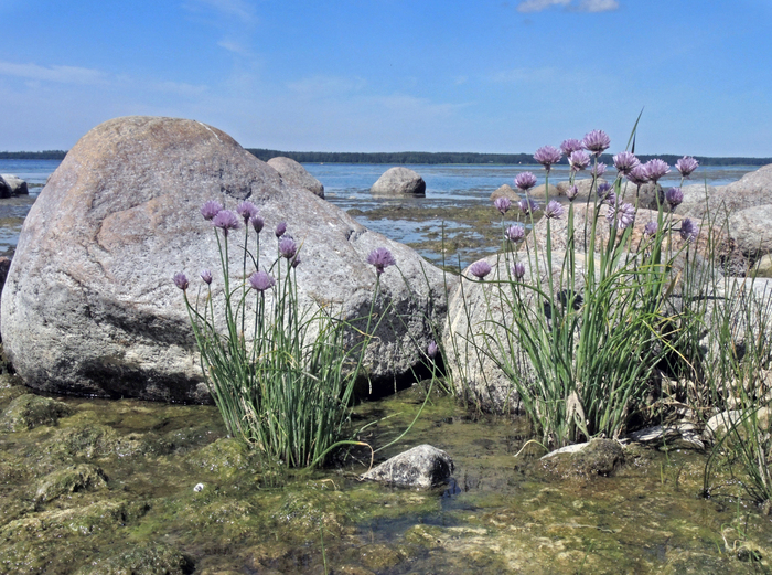 Фото Л. Головневой.