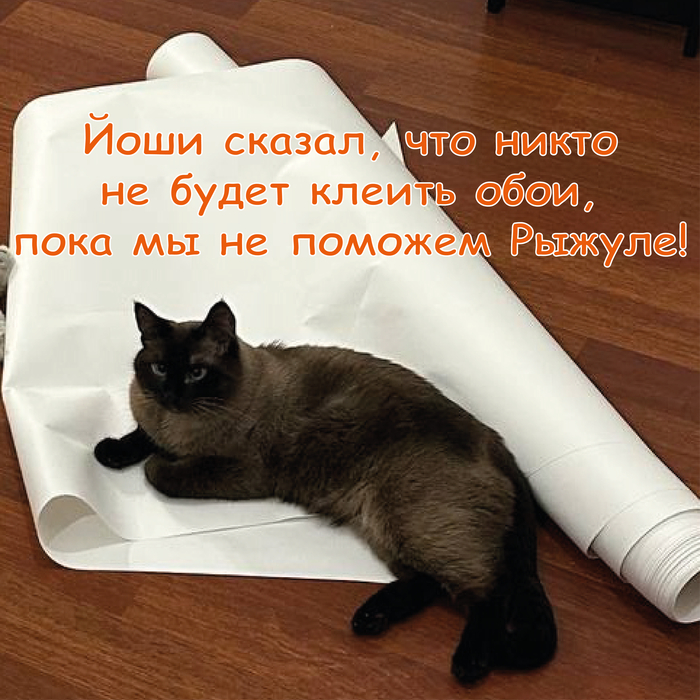 �� � ���� � ��� ��� ����