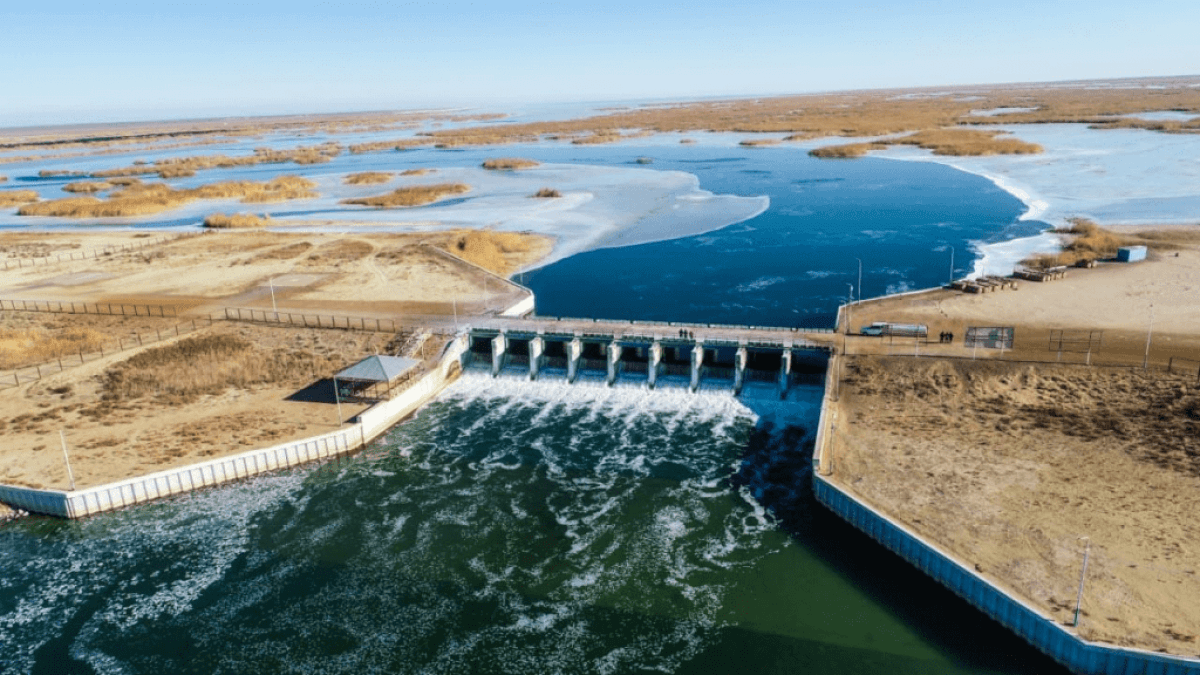 The Aral Sea: How did the water flow away, where did the fish go and is there hope? - Aral Sea, Desert, Nature, Animals, Wild animals, wildlife, Sea, A fish, Yandex Zen, Yandex Zen (link), Longpost