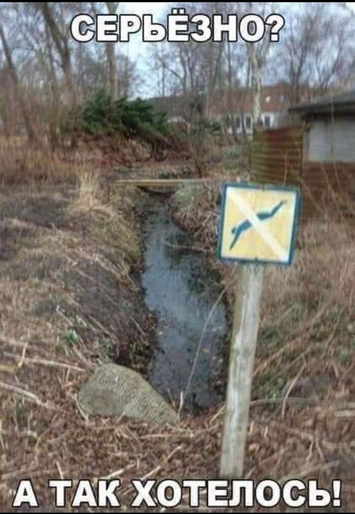     ,   , ,  , 
