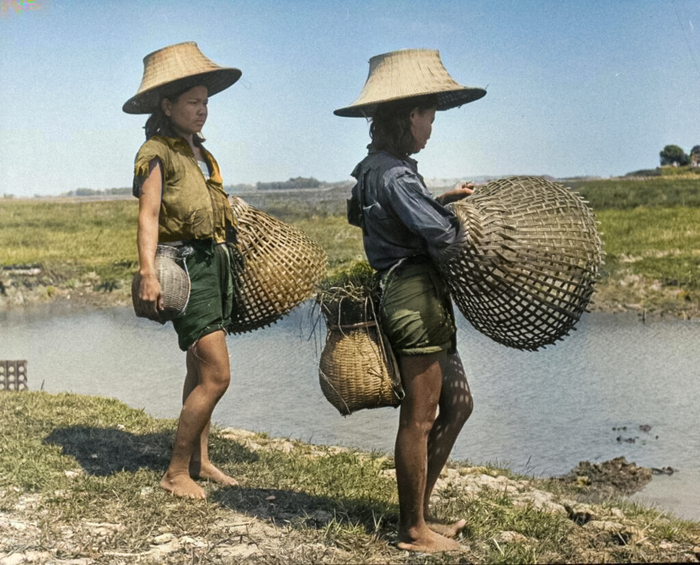 ��������: ������� �������