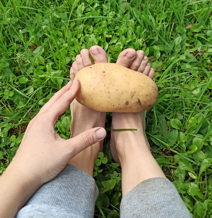 Пыльные ноги колхозницы кому?