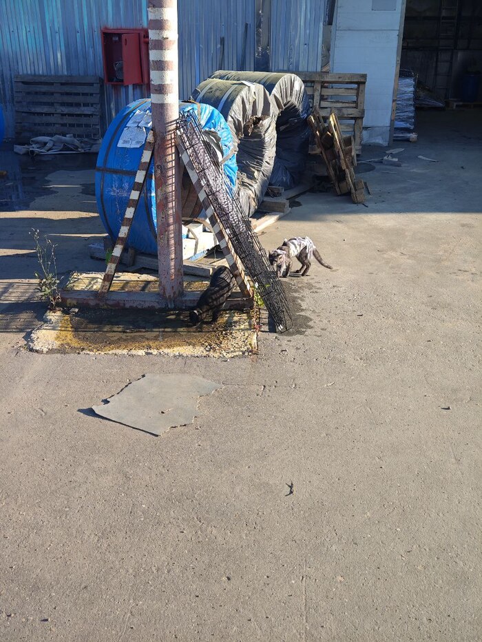 Клетка вкусно пахнет хлоркой.))