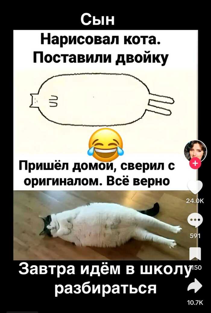    ,   , , , , , 