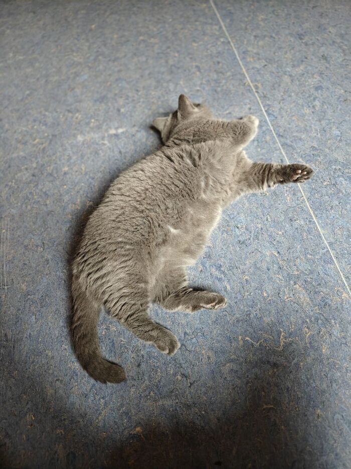   ,              ? ,  ,  ,  , ,  , 