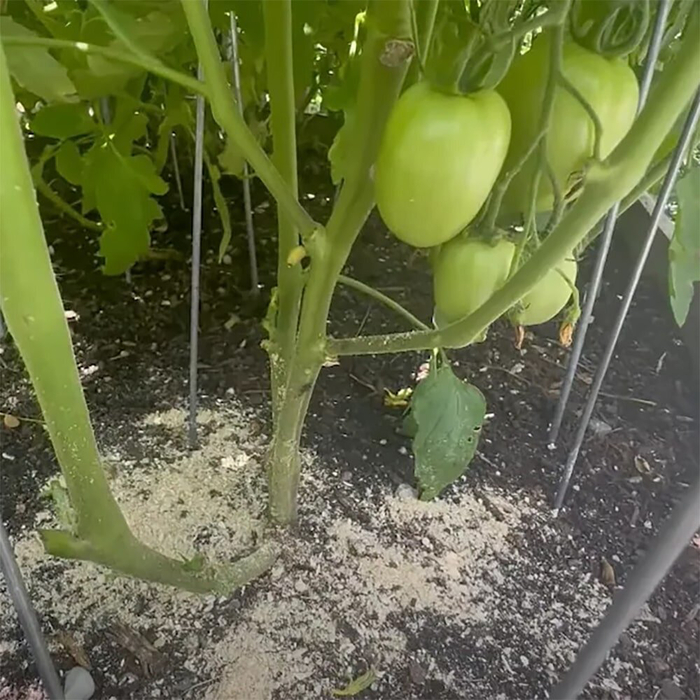 ��� ������ ��������� ����������� ����� - �������� ������� � ������� ��� ���������� ������ � ������� ������