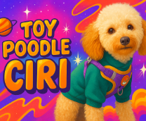 ���������� � ����