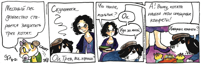    21.08.2025   (), , , 