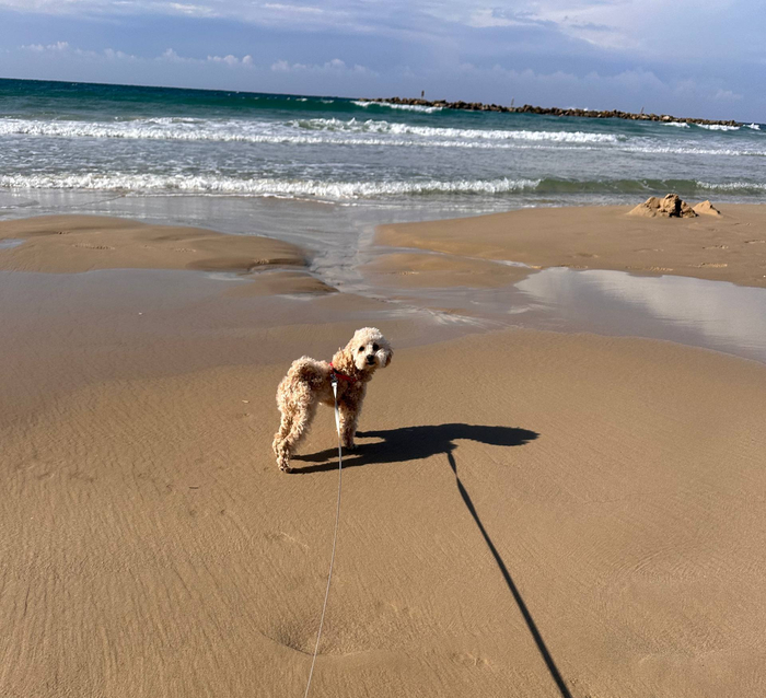 �� ��� ��� ������� �� ������ �� ����� �� ���������, ������ ��� ��� ����� �������� ����� � �� ����� ������� �������������:)