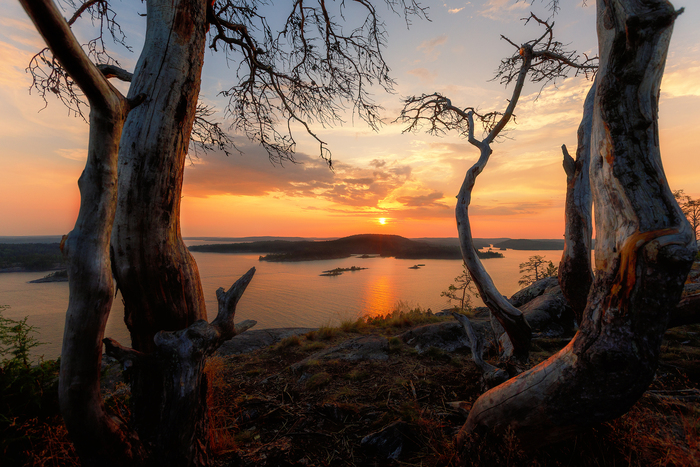 5DMKIV+16-35.  ,    .