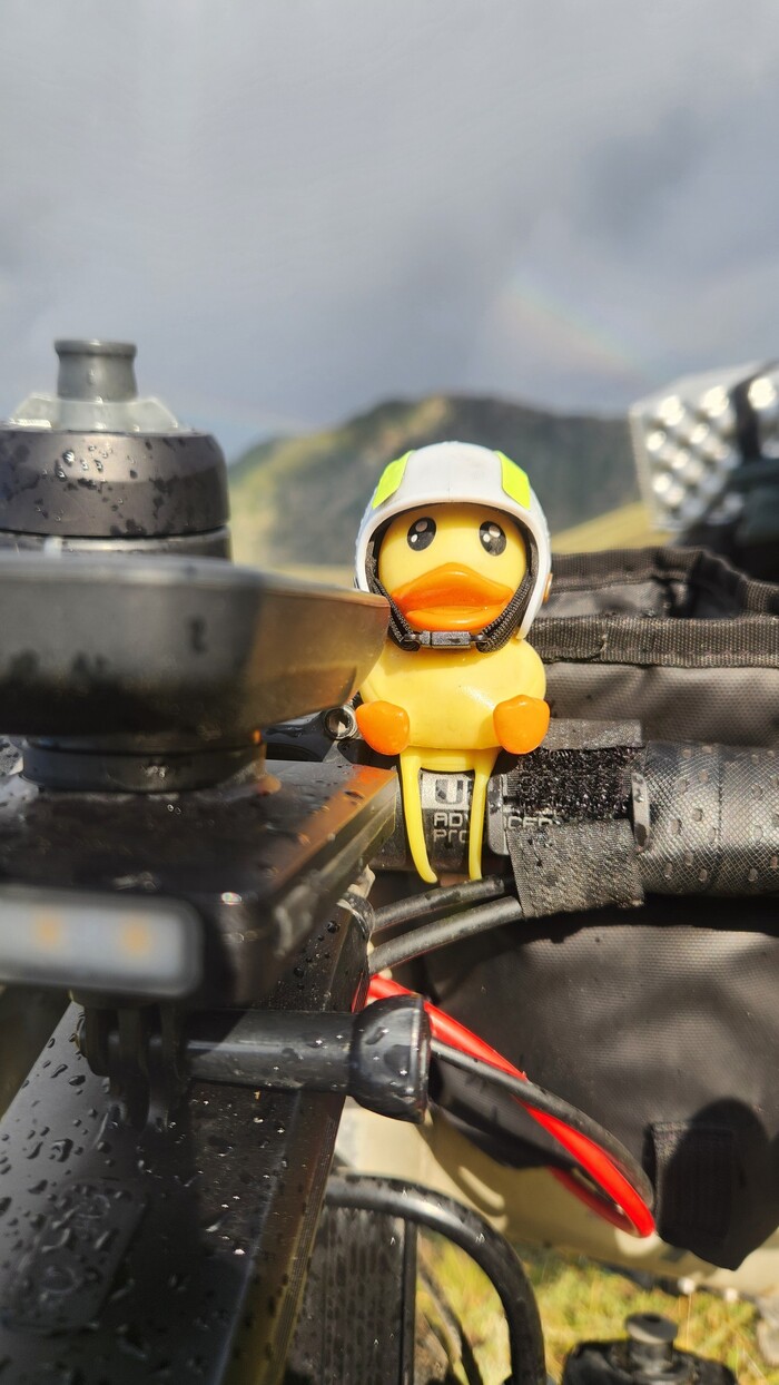 И верный, но офигевший нафигатор ))