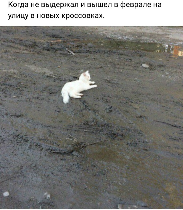     , , , , , 