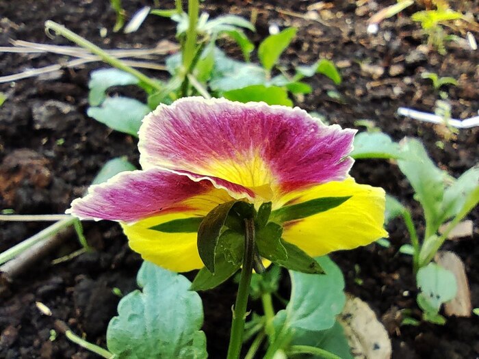 Прогулка Фотография, Лето, Озеро, Длиннопост