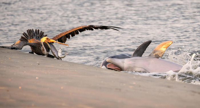 5.  - . ,      ( :  )