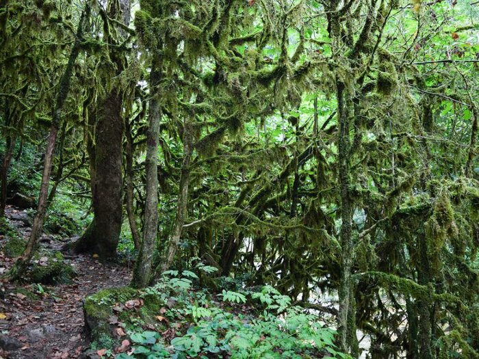 .  .    <!--noindex--><a href="https://pikabu.ru/story/samshit_13114649?u=http%3A%2F%2Fpro-dachnikov.com&t=pro-dachnikov.com&h=a66ec94e240bdb41e1066688d8702e092d937e55" title="http://pro-dachnikov.com" target="_blank" rel="nofollow noopener">pro-dachnikov.com</a><!--/noindex-->.