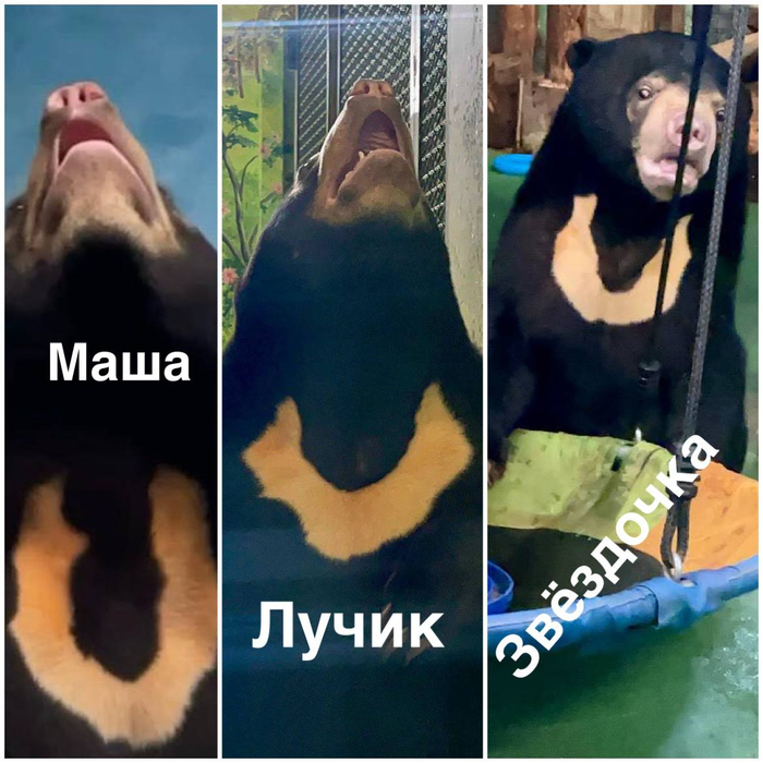  !  , ,  ,  , , ,   , , Telegram ()