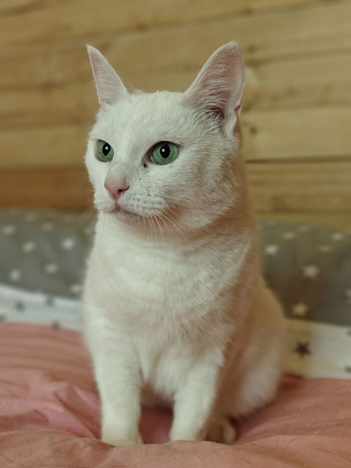   .   ,         , ,  , -,  ,  , 