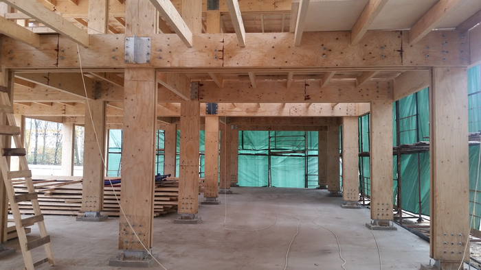 Процесс строительства