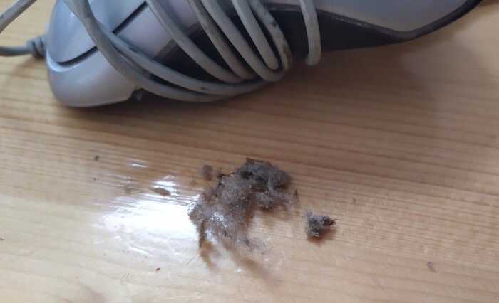 ����� ������ ���� �� ����, ��� �����