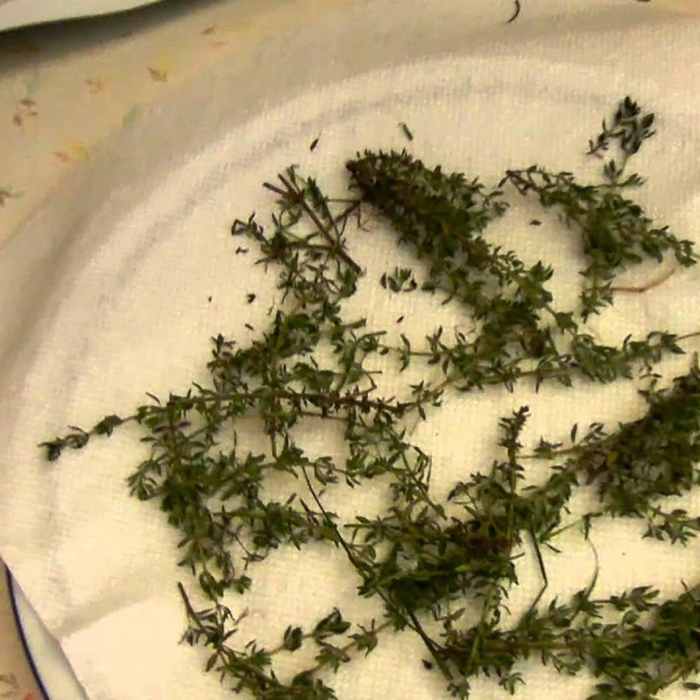 Тимьян разложен в один слой на бумажном полотенце - без наползания веточек, чтобы не "запарить". Толстые пучки разбираю: веточка не толще 1-1,5 см.