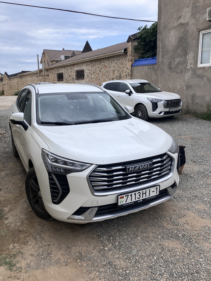 Жульены из Беларуси