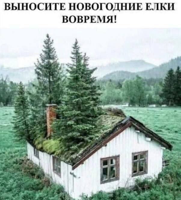Выносите Юмор, Мемы, Картинка с текстом, Дом, Ёлки, Реферальная ссылка