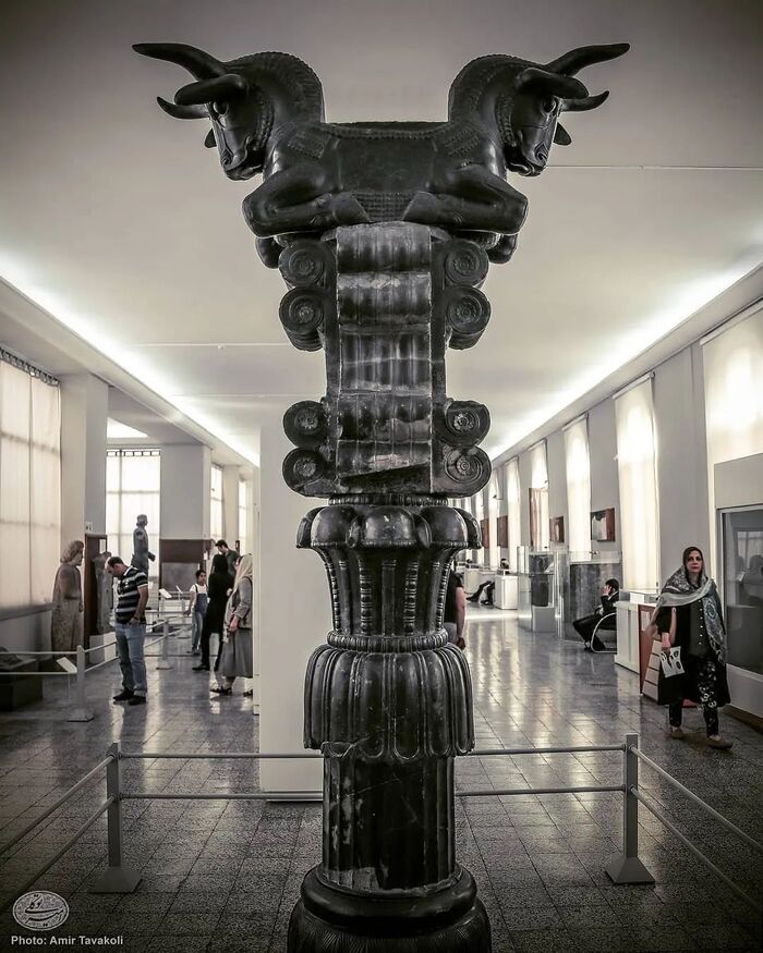  ,    ,          (550330 .  . .). ,      ,     .