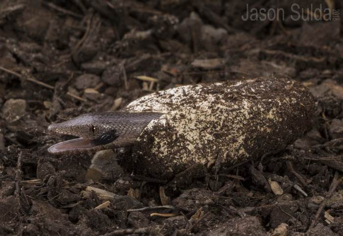 � ��� ���������� ����� ����� ������������ � ������ �� ���������� � ���������� ���������� ������ �� 20 ���.