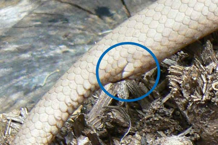 ��� �� ������������ �������, � �� ����� ��������� �����!