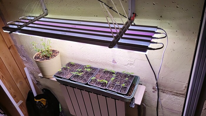 Минигрядка