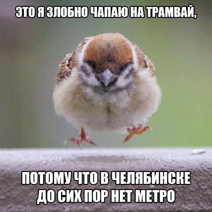  * , Pikabu Publish Bot, , , , , , 