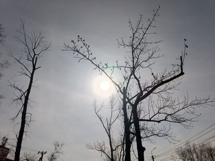 Как слёзы в дожде