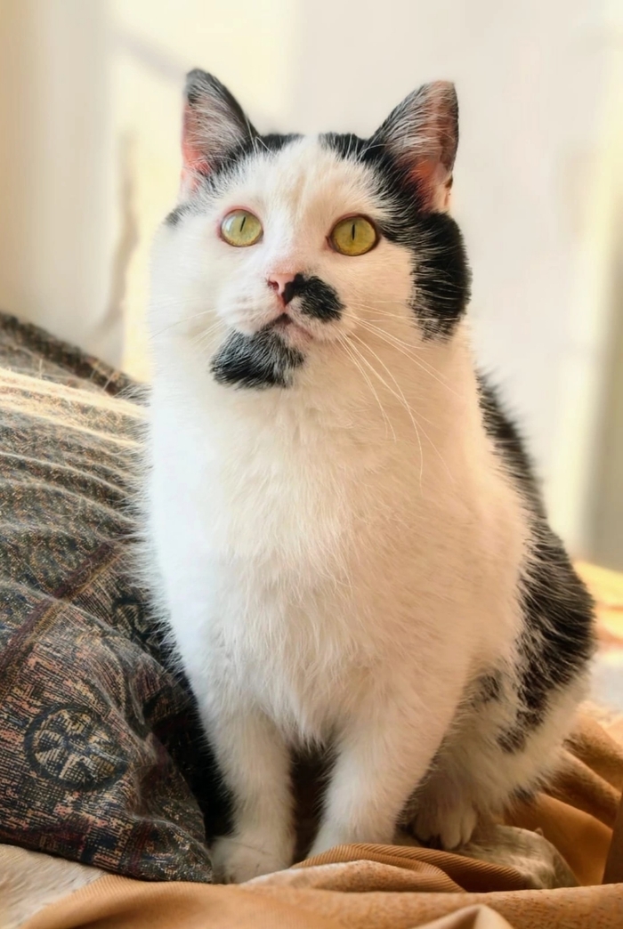 , ! , ,       , ,   ,  ,  , 