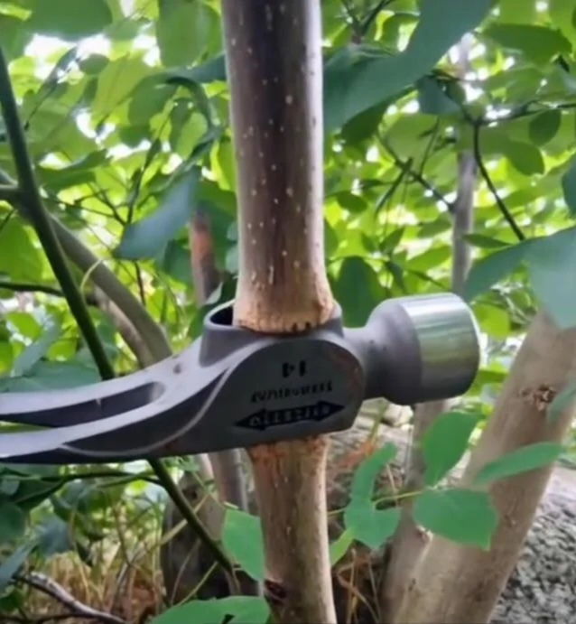     , , , , , 