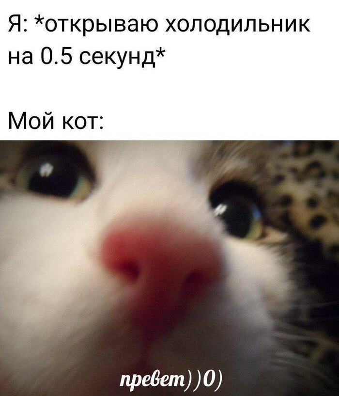 Открываю холодильник