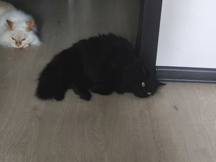 Понедельник. Утро