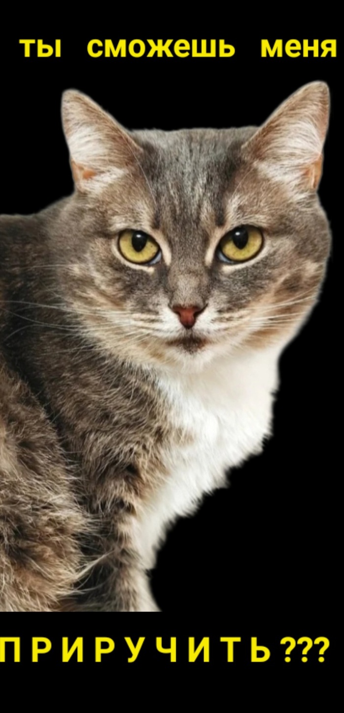     ,     .    .    ,  ,   ,  ,  , ,  , 