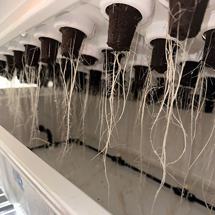        . ,      -  ,    EC,   ,     .