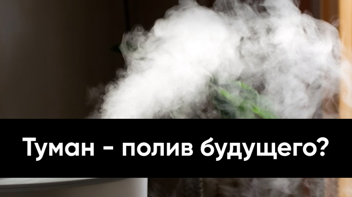    - ,  :       , , , , , ,   (), 